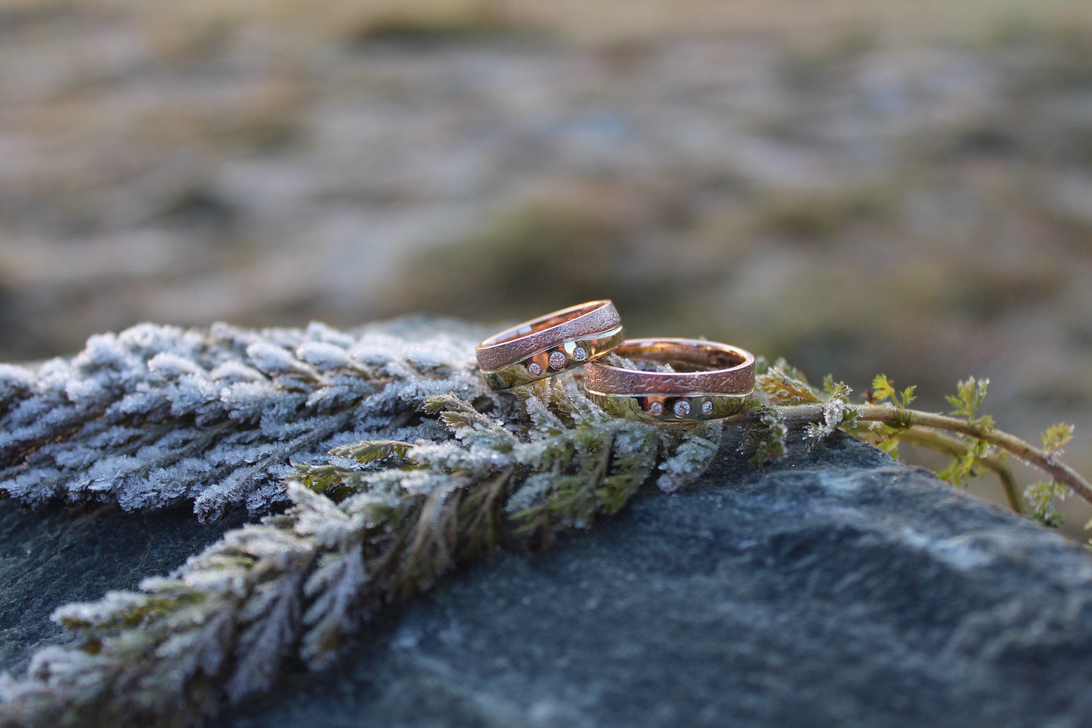 Trauringe in Rosé- und Gelbgold mit Brillanten – Winterlicht